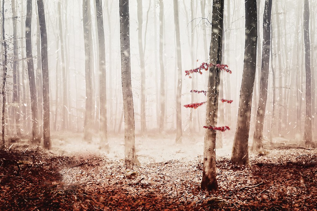 first snowfall