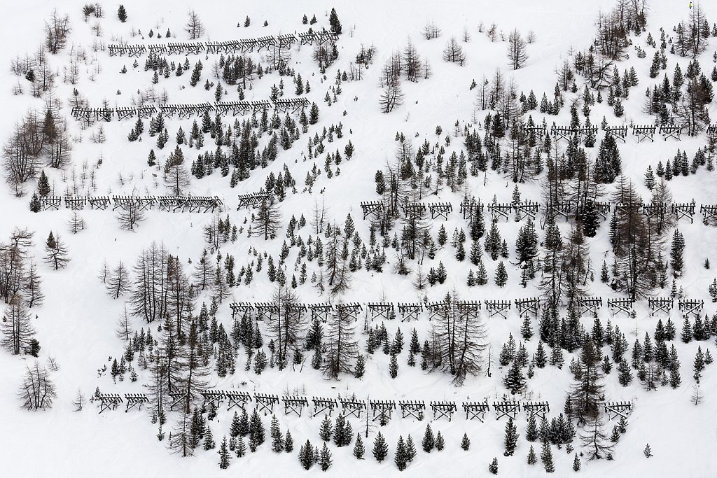 Winterwald